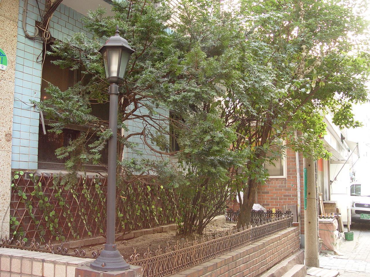 Saewha Hostel Seoul Exterior photo